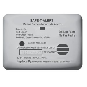 Safe-T-Alert Carbon Monoxide Detector