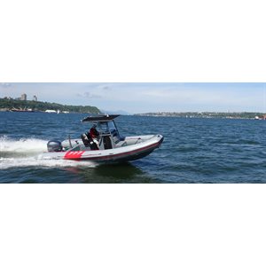 Inflatable boat RIB Zodiac Rec-Pro 750 Yamaha F250 and T-TOP